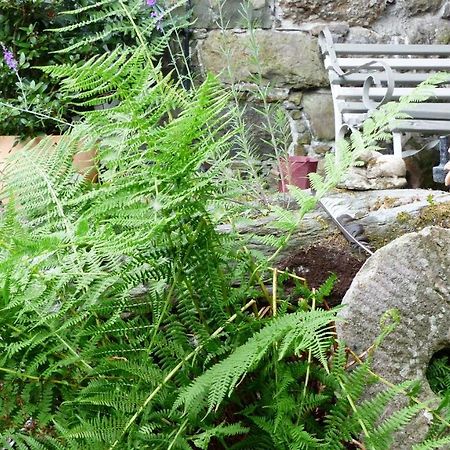 Dolifor Lägenhet Llanwrthwl Exteriör bild