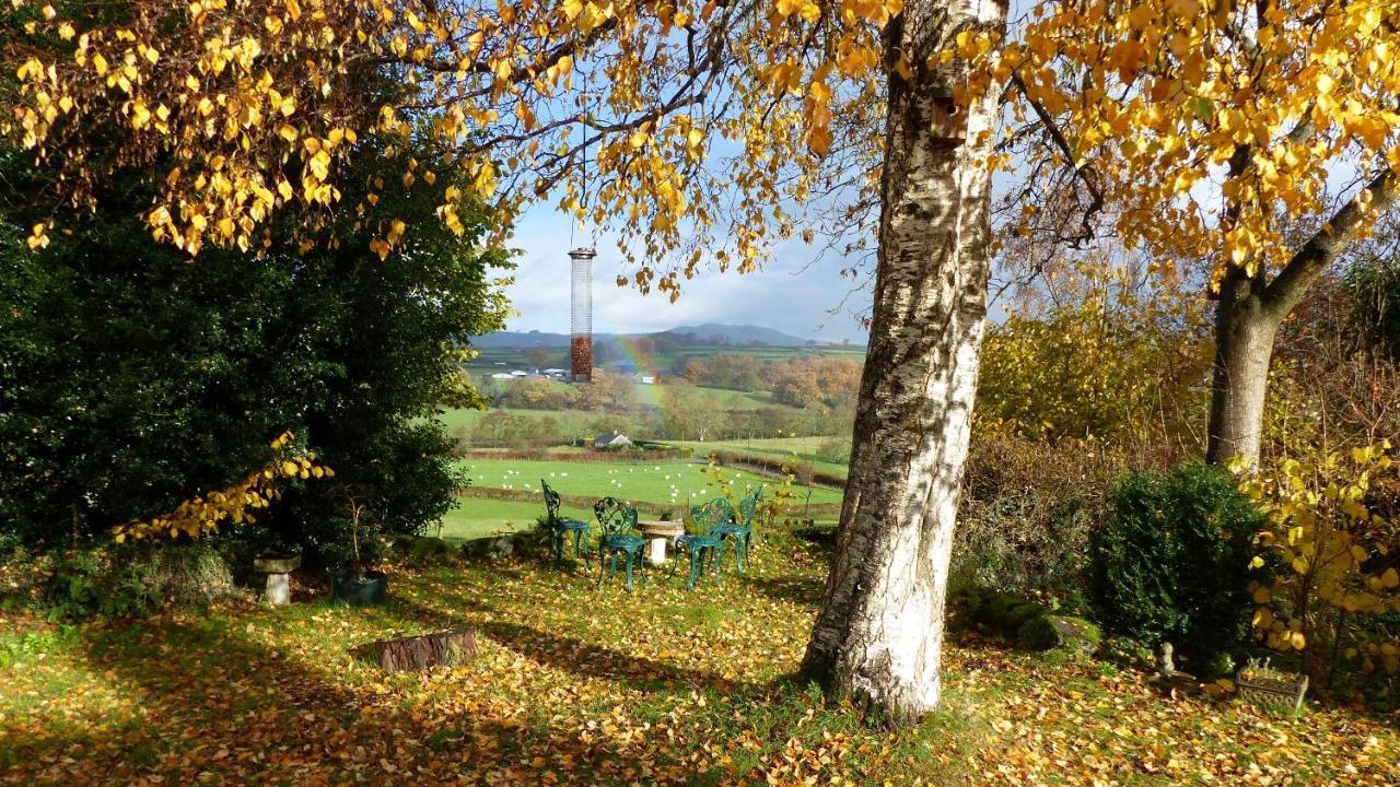 Dolifor Lägenhet Llanwrthwl Exteriör bild