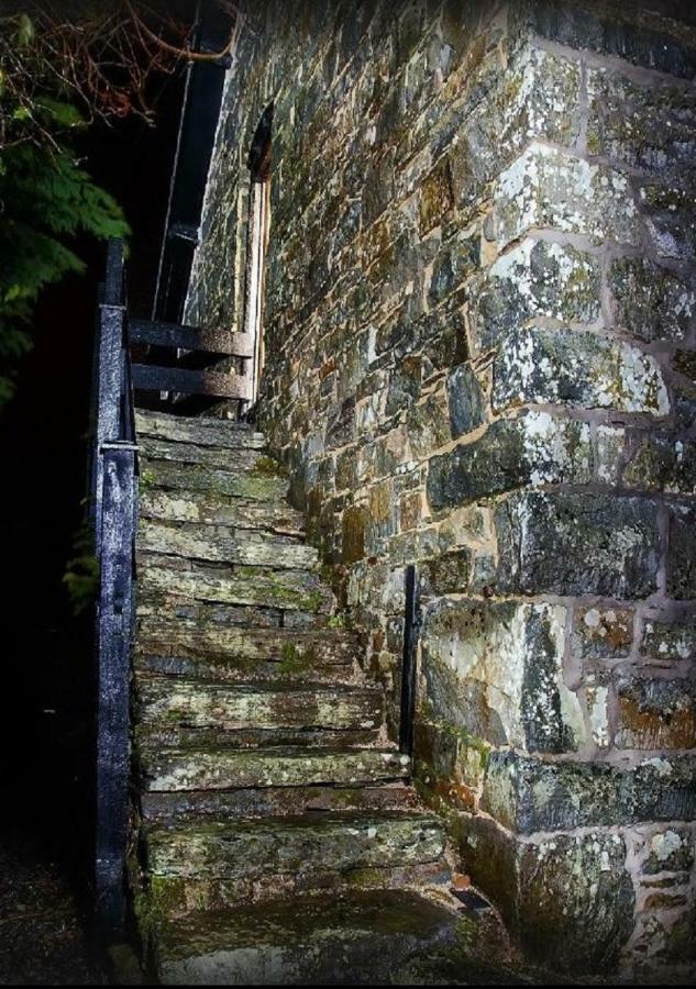 Dolifor Lägenhet Llanwrthwl Exteriör bild